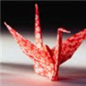 Meet your Posher, Bill